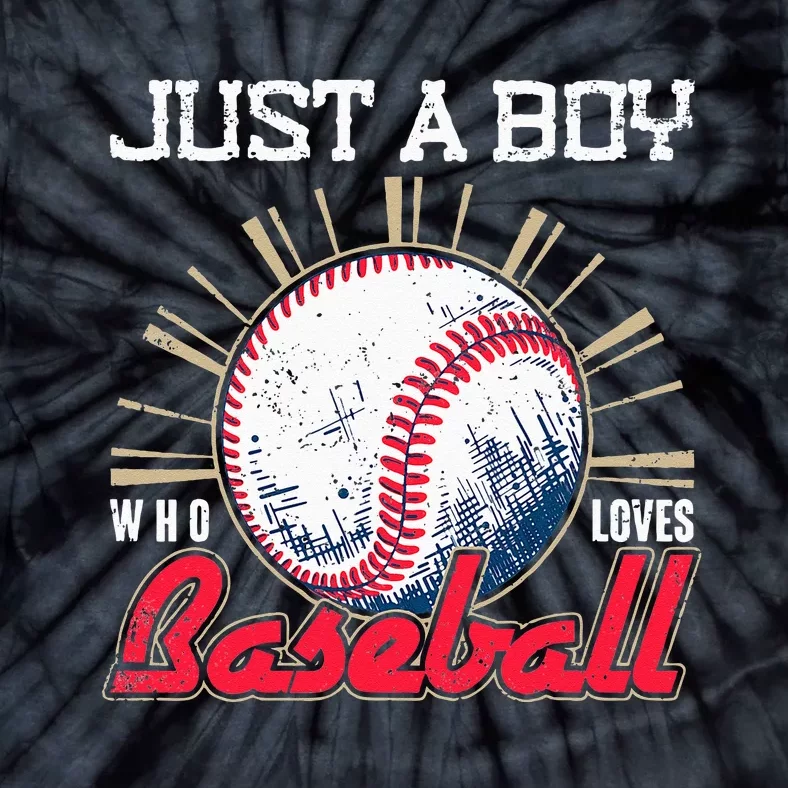 Ball Baseball Player Just A Who Loves Baseball Tie-Dye T-Shirt