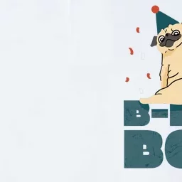 Birthday Boy Pug Softstyle Adult Sport Polo