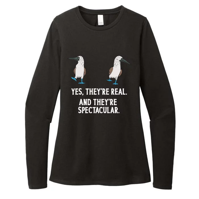 Bluefooted Booby Seabird Boobies Womens CVC Long Sleeve Shirt