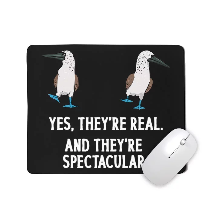 Bluefooted Booby Seabird Boobies Mousepad