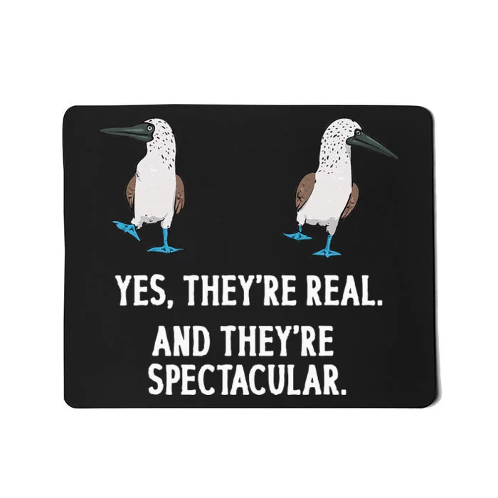 Bluefooted Booby Seabird Boobies Mousepad