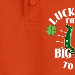 Big Bro To Be Lucky Big Bro Gift For New Big Bro Cute Gift Dry Zone Grid Performance Polo