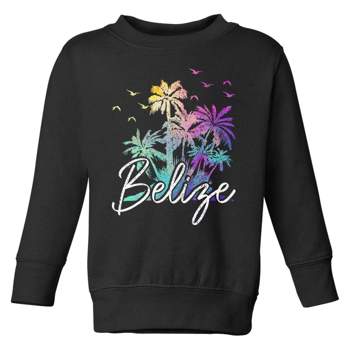 Belize Beach Vintage Palm Trees Vacation Toddler Sweatshirt