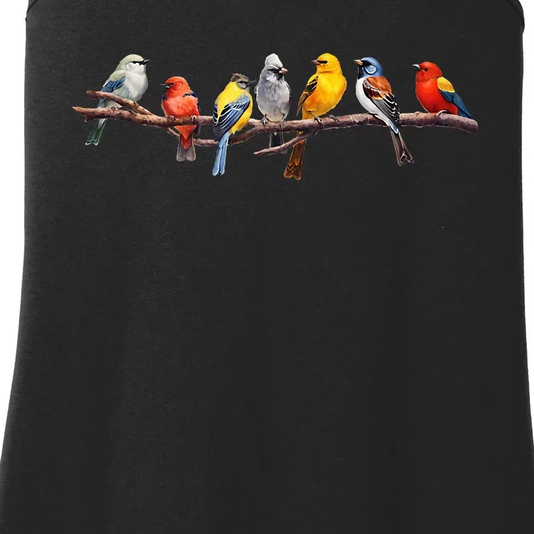 Backyard Bird Watching Watcher Birder Songbirds On A Branch Ladies Essential Tank