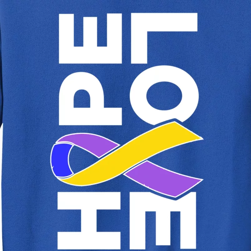 Bladder Cancer Awareness Gift Hope Love Support Ribbon Gift Sweatshirt