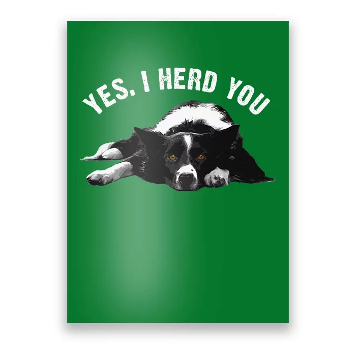 Border Collie Art Puppy Border Collie Lovers Poster