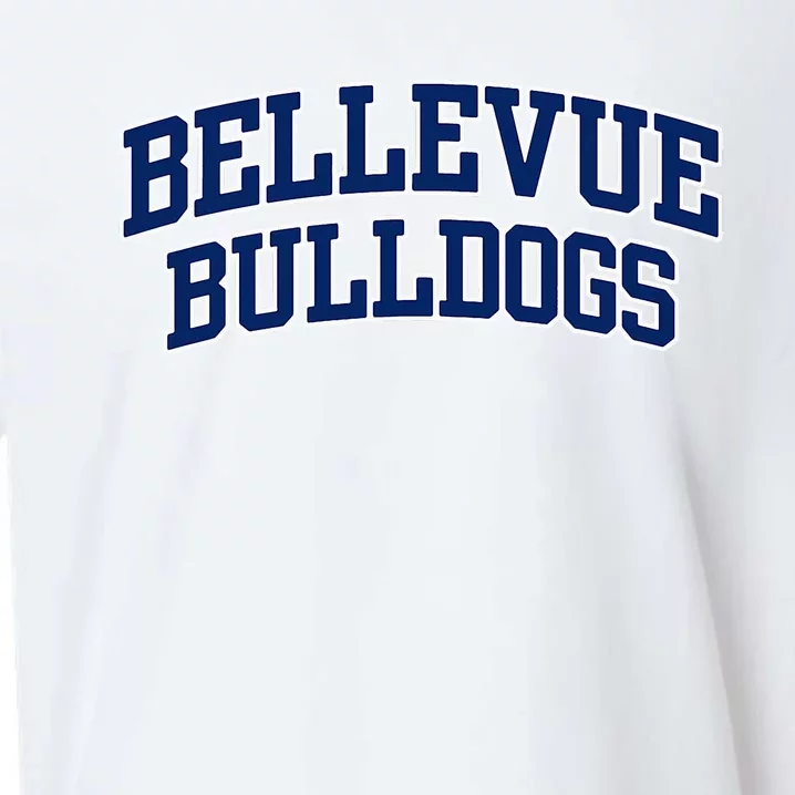 Bellevue College Bulldogs Sueded Cloud Jersey T-Shirt