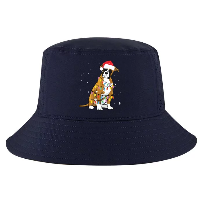 Boxer Christmas Boxer Dog Christmas Gift Cool Comfort Performance Bucket Hat