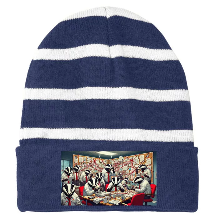 Badger Conspiracy Striped Beanie with Solid Band