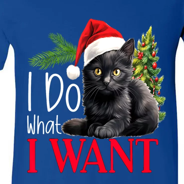 Black Cat Christmas I Do What I Want Cool Gift V-Neck T-Shirt