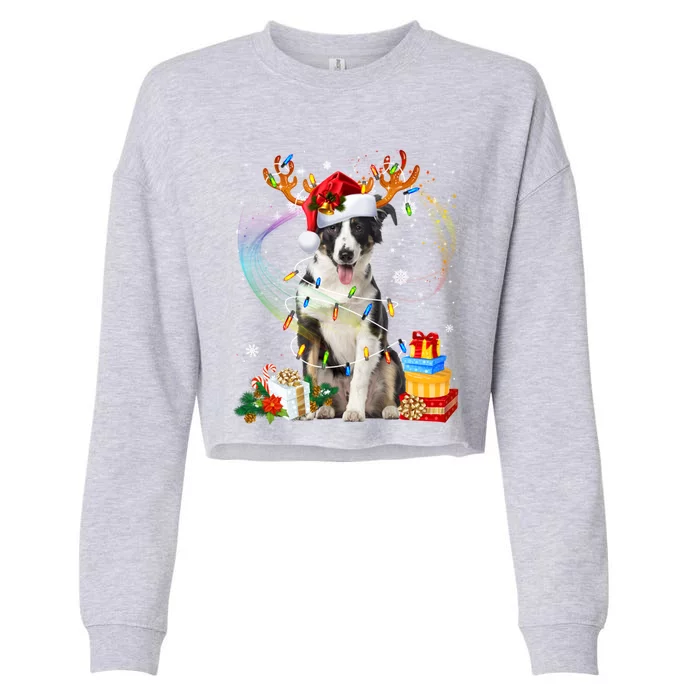 Border Collie Christmas Tree Light Pajama Dog Xmas Gift Cropped Pullover Crew