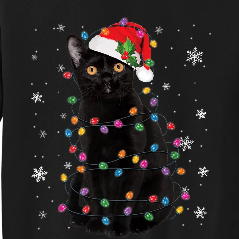 Black Cat Christmas Santa Hat Lights Pajama Xmas Cat Lover Premium Tall Sweatshirt