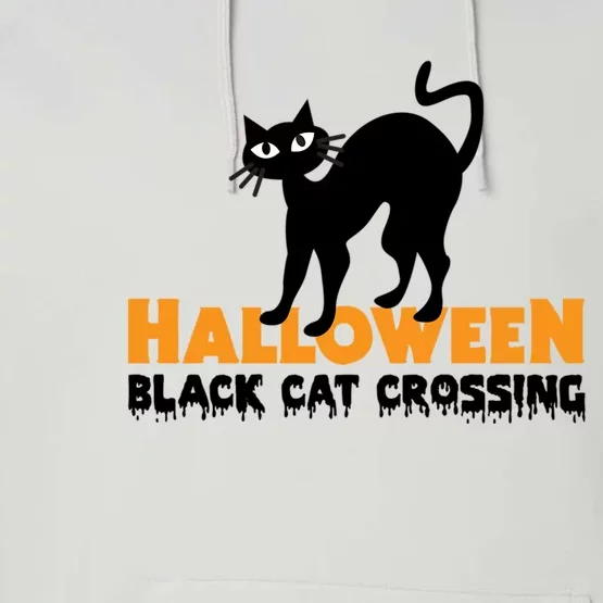 Black Cat Crossing Funny Original Halloween Party Knitwear Gift Performance Fleece Hoodie