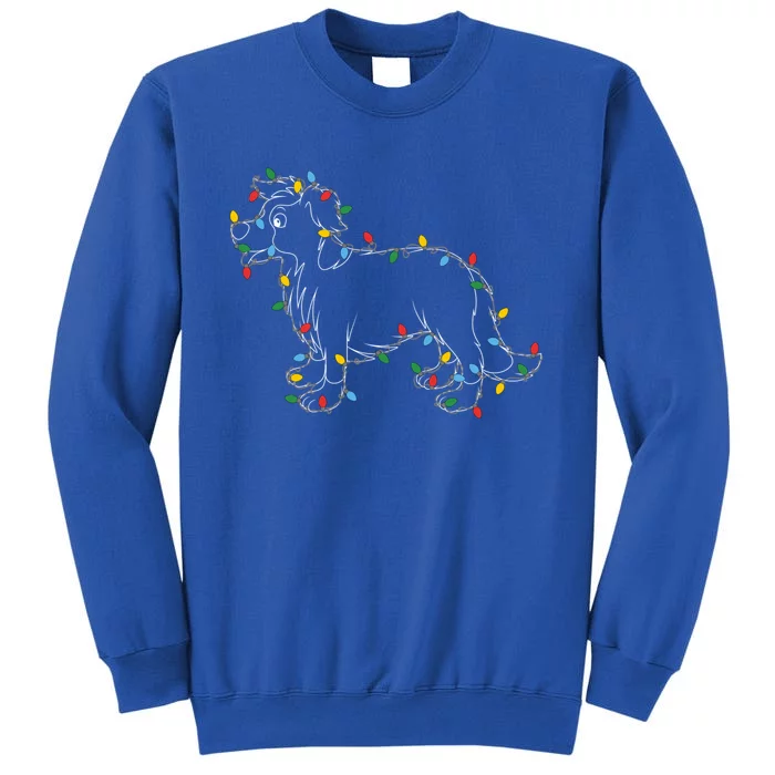 Border Collie Christmas Lights Dog Lover Ugly Sweater Xmas Cool Gift Tall Sweatshirt