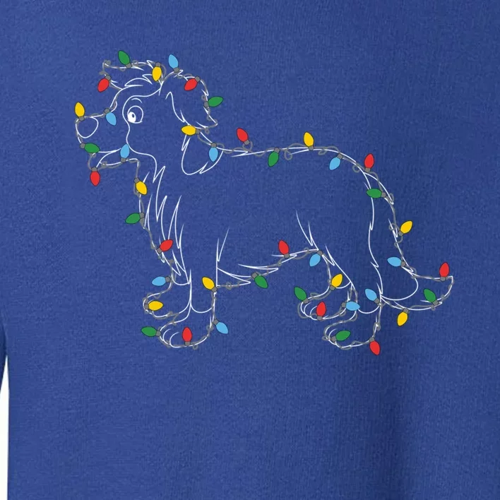 Border Collie Christmas Lights Dog Lover Ugly Sweater Xmas Cool Gift Toddler Sweatshirt