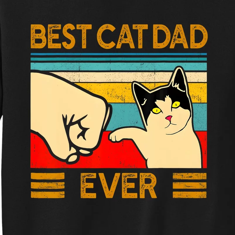 Best Cat Dad Ever FatherS Day Gift Cat Daddy Tall Sweatshirt