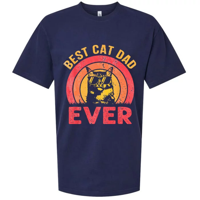 Best Cat Dad Ever Vintage Cat Daddy Fathers Day Sueded Cloud Jersey T-Shirt