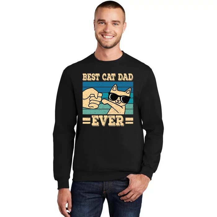 Best Cat Dad Ever Funny Cat Retro Men Sweatshirt