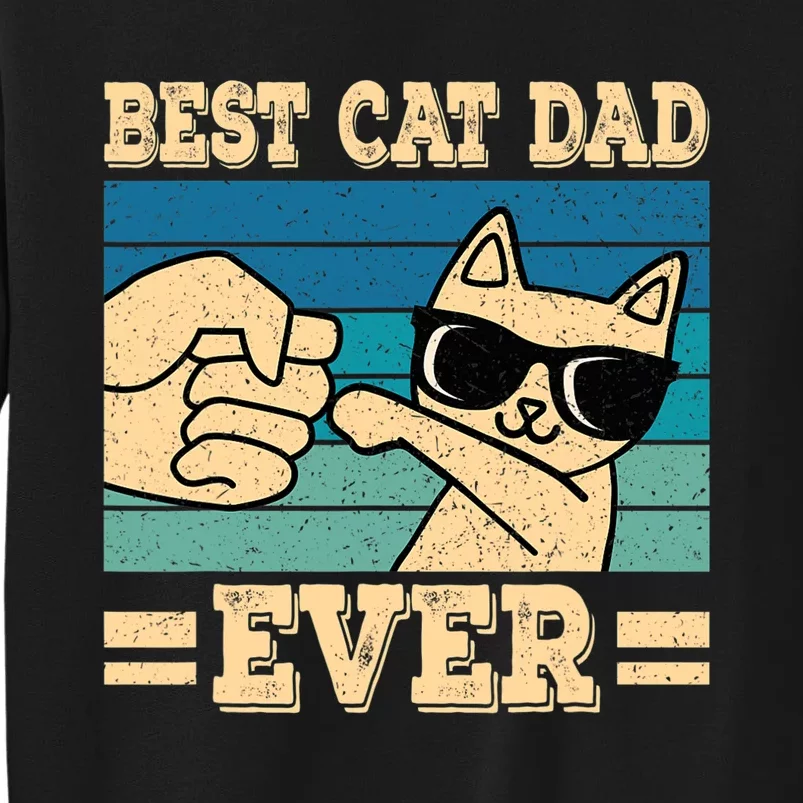 Best Cat Dad Ever Funny Cat Retro Men Sweatshirt