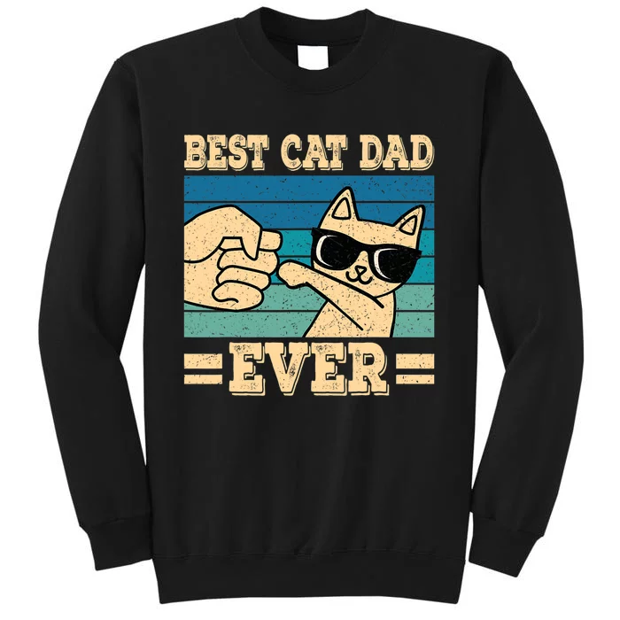 Best Cat Dad Ever Funny Cat Retro Men Sweatshirt