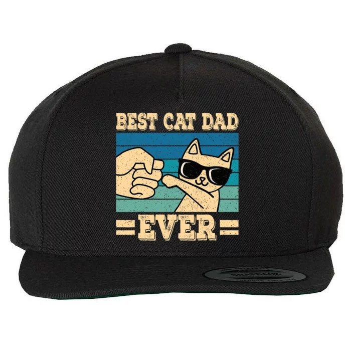 Best Cat Dad Ever Funny Cat Retro Men Wool Snapback Cap