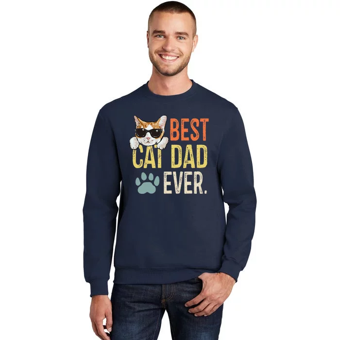 Best Cat Dad Ever Funny Retro Cat Lover Fathers Day Tall Sweatshirt