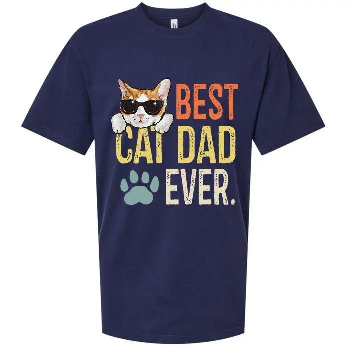 Best Cat Dad Ever Funny Retro Cat Lover Fathers Day Sueded Cloud Jersey T-Shirt