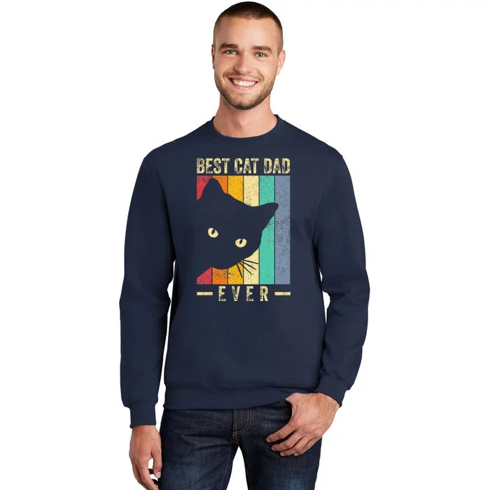 Best Cat Dad Ever Retro Vintage Cat Daddy Gifts Fathers Day Sweatshirt