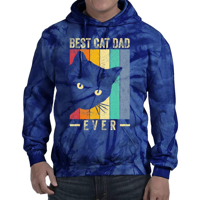 Best Cat Dad Ever Retro Vintage Cat Daddy Gifts Fathers Day Tie Dye Hoodie