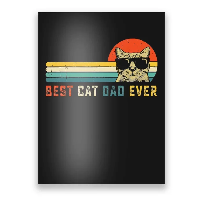 Best Cat Dad Ever FatherS Day Gift Cat Daddy Poster