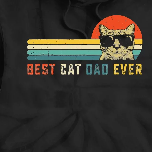 Best Cat Dad Ever FatherS Day Gift Cat Daddy Tie Dye Hoodie