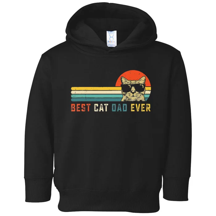 Best Cat Dad Ever FatherS Day Gift Cat Daddy Toddler Hoodie