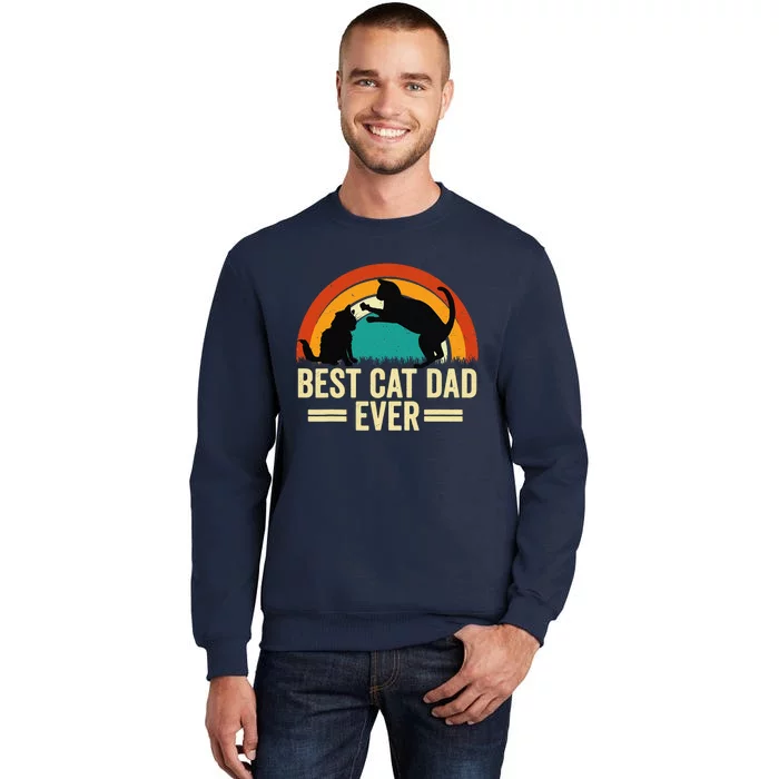 Best Cat Dad Ever Vintage Funny Cat Dad Fathers Day Tall Sweatshirt