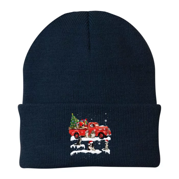 Border Collie Dog Driving Xmas Truck Christmas Tree Lights Gift Knit Cap Winter Beanie