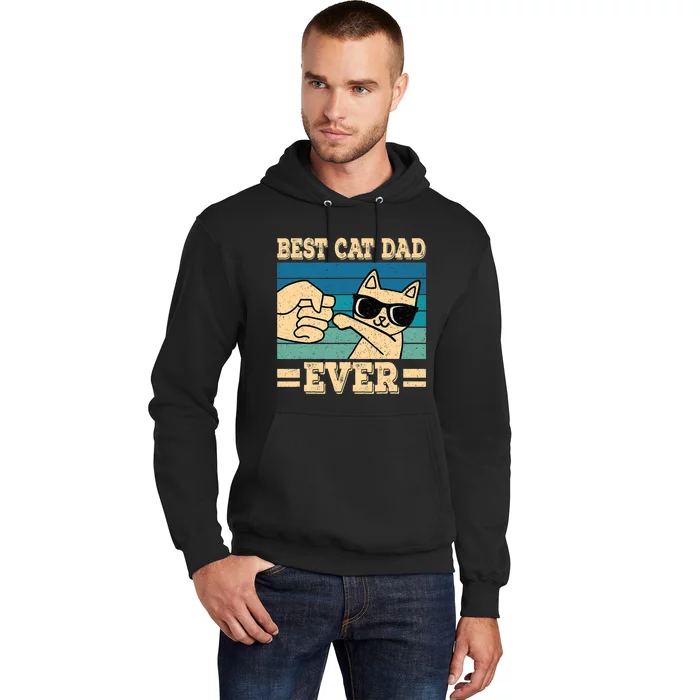 Best Cat Dad Ever Funny Cat Retro Men Hoodie