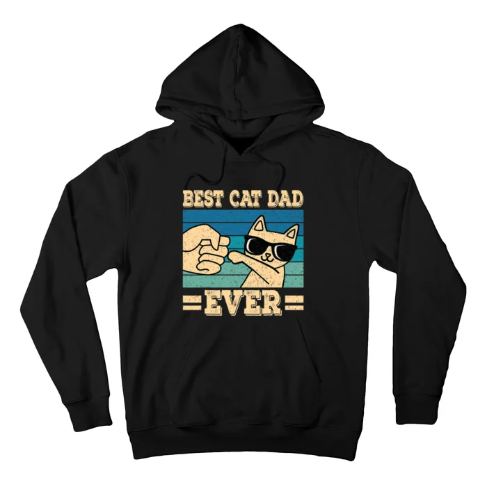 Best Cat Dad Ever Funny Cat Retro Men Hoodie