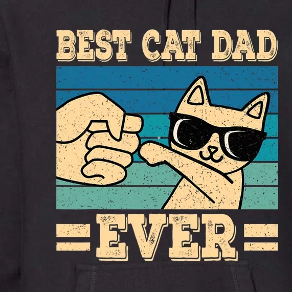 Best Cat Dad Ever Funny Cat Retro Men Premium Hoodie