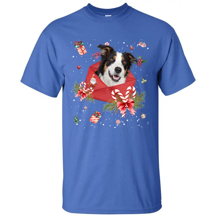 Border Collie Dog In Christmas Card Ornat Pajama Xmas Meaningful Gift Tall T-Shirt