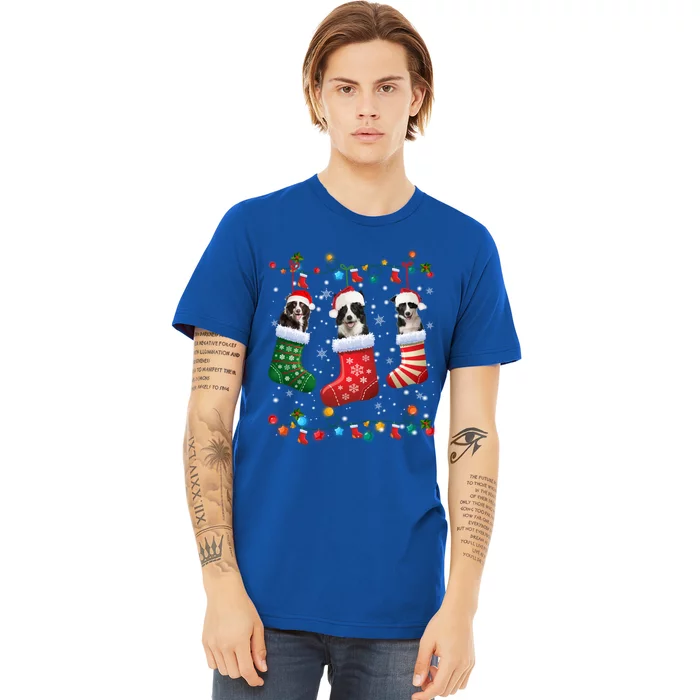 Border Collie Dog In Christmas Sock Santa Hat Xmas Dog Lover Gift Premium T-Shirt