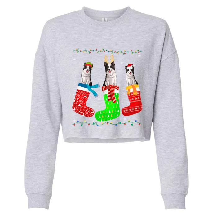 Border Collie Dog In Xmas Socks Funny Ugly Sweater Christmas Gift Cropped Pullover Crew