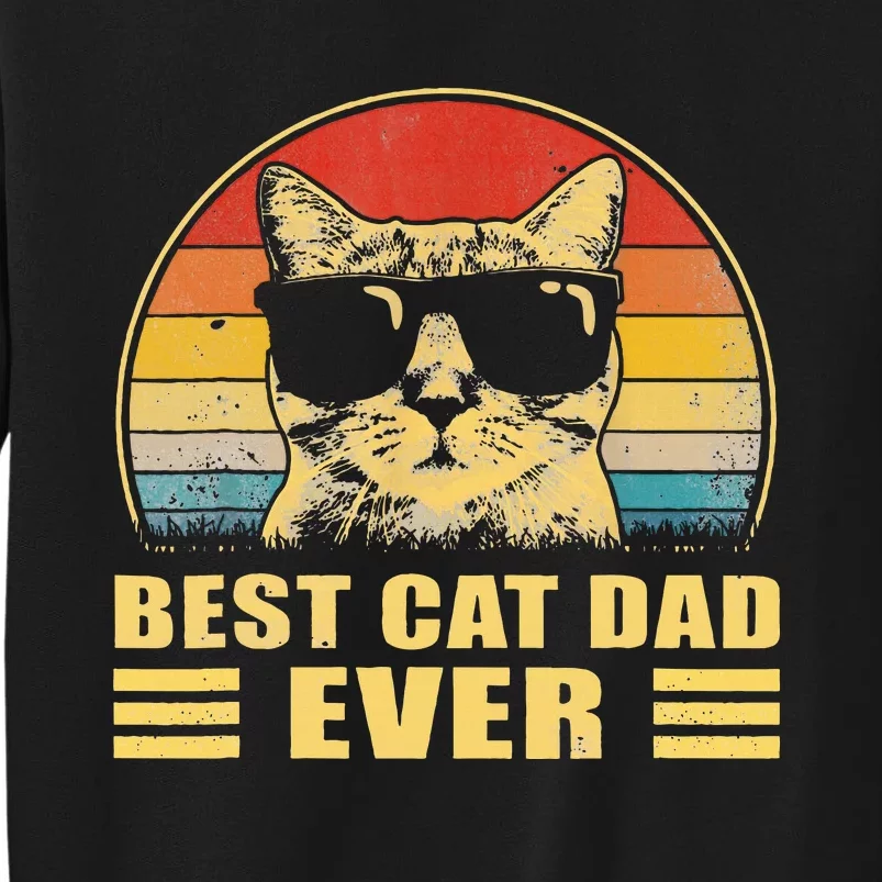 Best Cat Dad Ever Father FatherS Day Gift Cat Daddy Sweatshirt