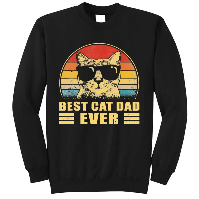 Best Cat Dad Ever Father FatherS Day Gift Cat Daddy Sweatshirt