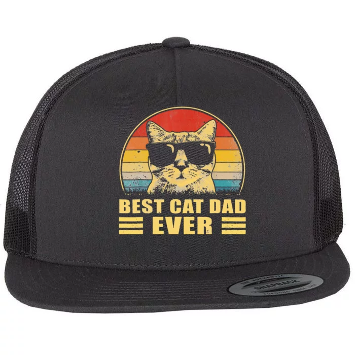 Best Cat Dad Ever Father FatherS Day Gift Cat Daddy Flat Bill Trucker Hat