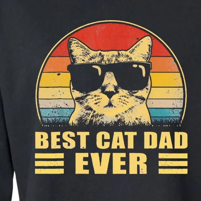 Best Cat Dad Ever Father FatherS Day Gift Cat Daddy Cropped Pullover Crew