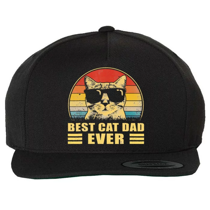 Best Cat Dad Ever Father FatherS Day Gift Cat Daddy Wool Snapback Cap