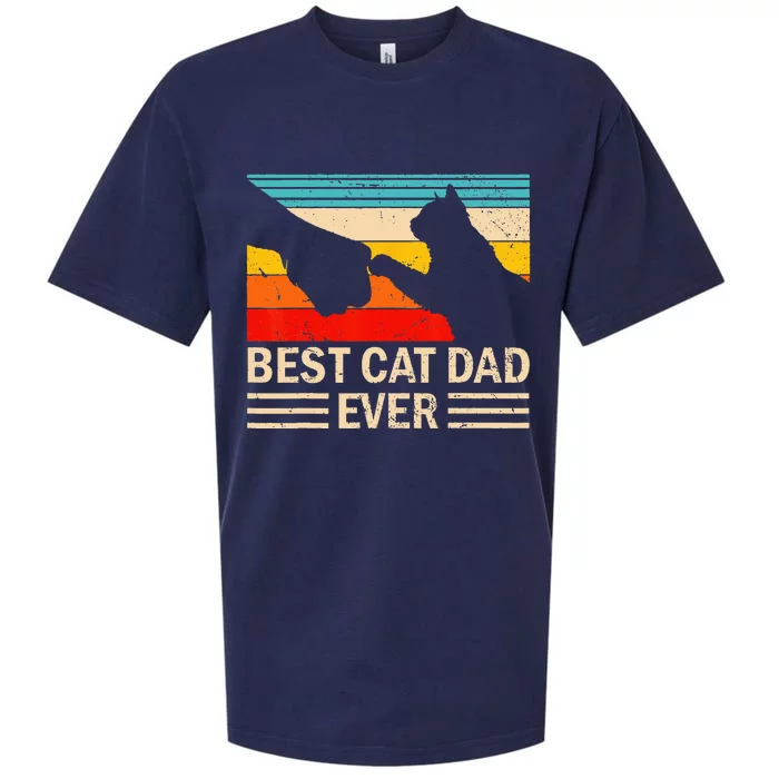 Best Cat Dad Ever Funny Vintage Cat Daddy Sueded Cloud Jersey T-Shirt