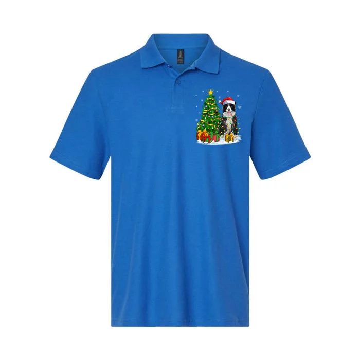 Border Collie Dog Lover Xmas Santa Border Collie Christmas Gift Softstyle Adult Sport Polo