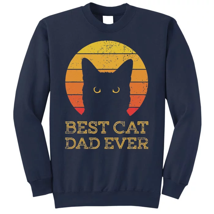 Best Cat Dad Ever Vintage Funny Cat Daddy Fathers Day Sweatshirt