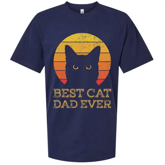 Best Cat Dad Ever Vintage Funny Cat Daddy Fathers Day Sueded Cloud Jersey T-Shirt