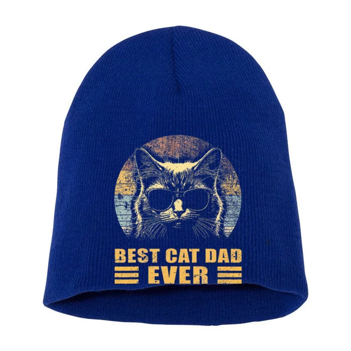 Best Cat Dad Ever FatherS Day Short Acrylic Beanie